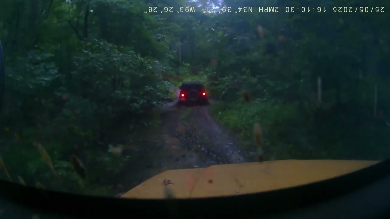 What an awesome trail through the Green Briar flats in the Ouachita Mtns.