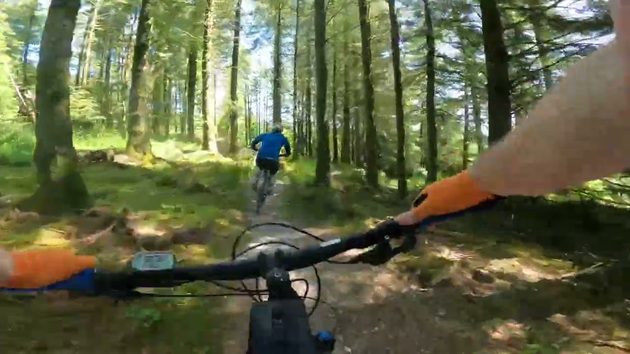 Slieve Bloom Mountain Bike Trails - Road Runner