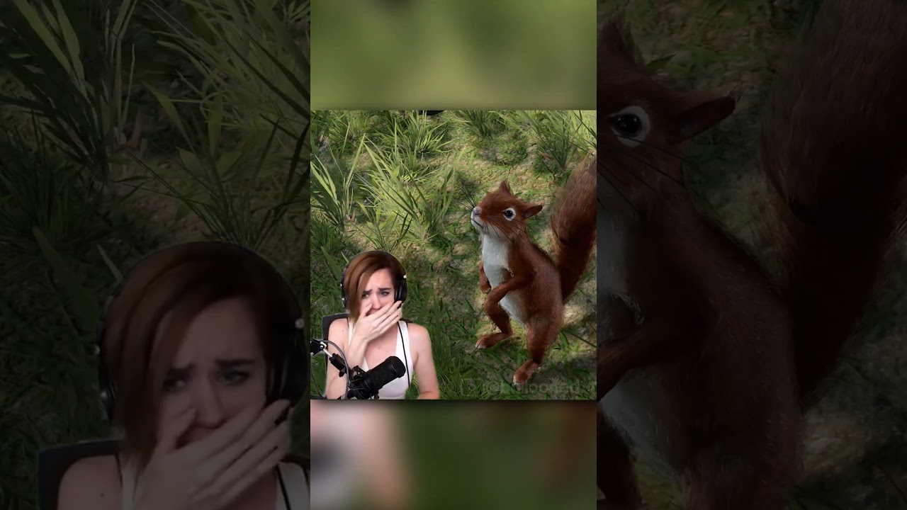 Смешной момент в Baldur's Gate 3 