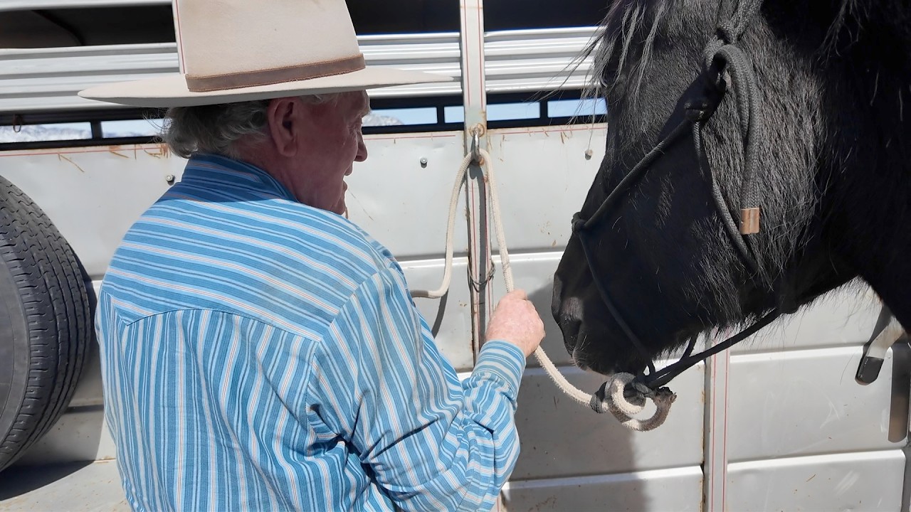 Knots for Horsemen
