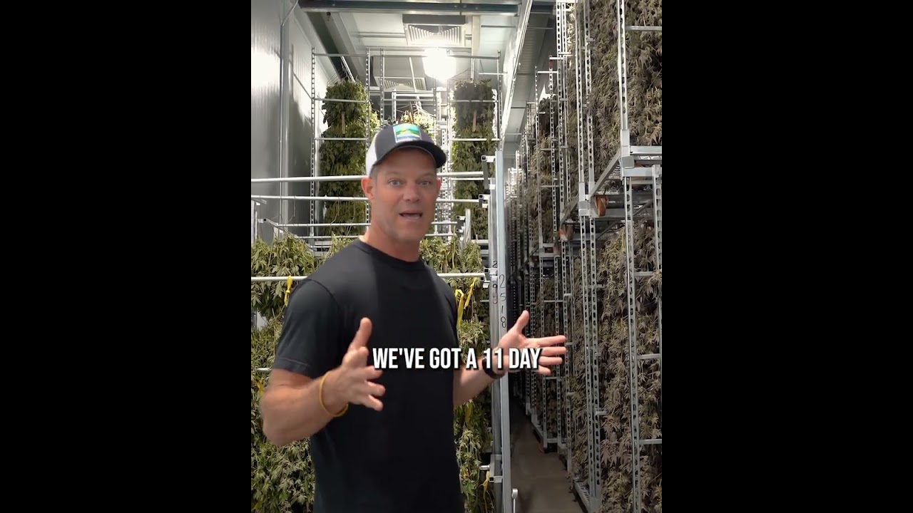 Learn about Glass House Farms post-harvest process with Graham Farrar