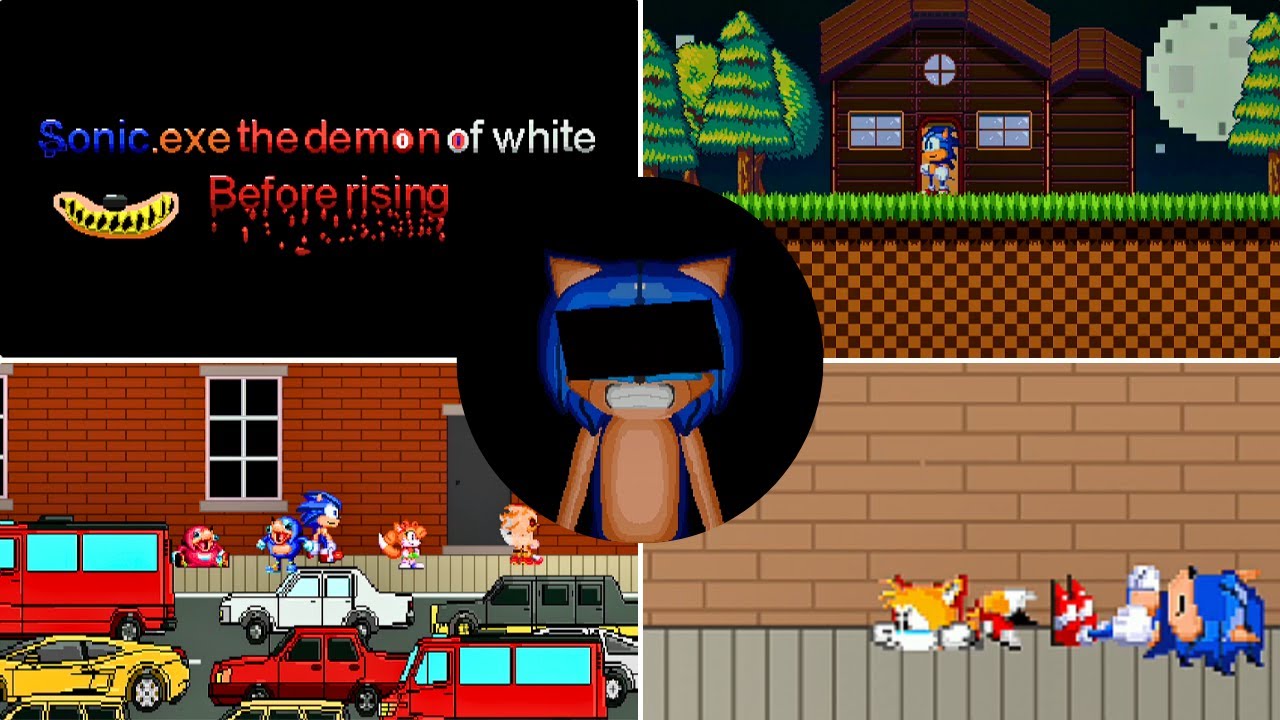 A Story Of Sonic's Life Before It all Began (He Even Had A Job)