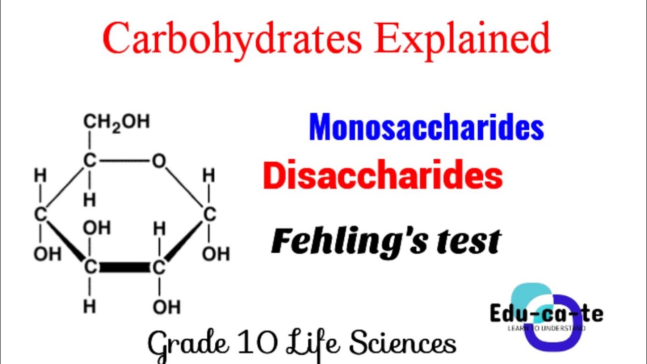 Carbohydrates - Grade 10 Life sciences