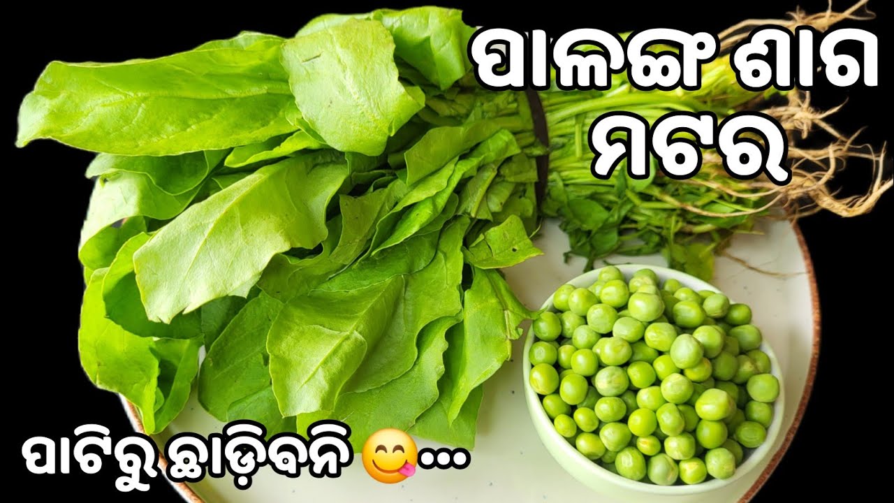 💯% ଗ୍ୟାରେଣ୍ଟି ଦେଖିଲା ମାତ୍ରେ ବନେଇବେ 👍🏻 ଥରେ ଖାଇଲେ ପାଟିରୁ ଛାଡ଼ିବନି❗NEW RECIPE❗Palanga saga recipe odia