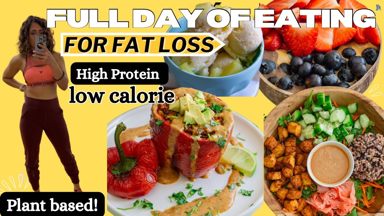 What I eat to lose fat |129g Protein, 1729 calories| Easy High protein meals & Yummy Ice-cream