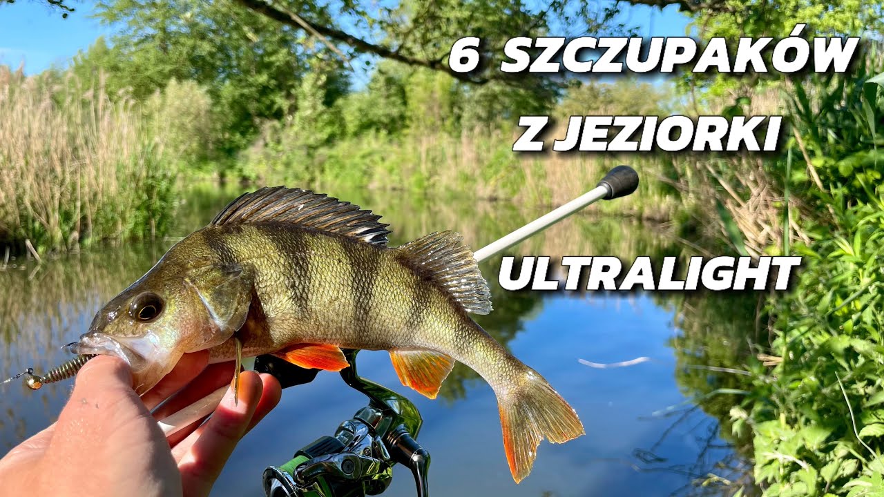 6 Szczupak&oacute;w i Okoni na Mikro Jigi, Gumy | Spinning Ultralight | Mała leśna Rzeka - Jeziorka