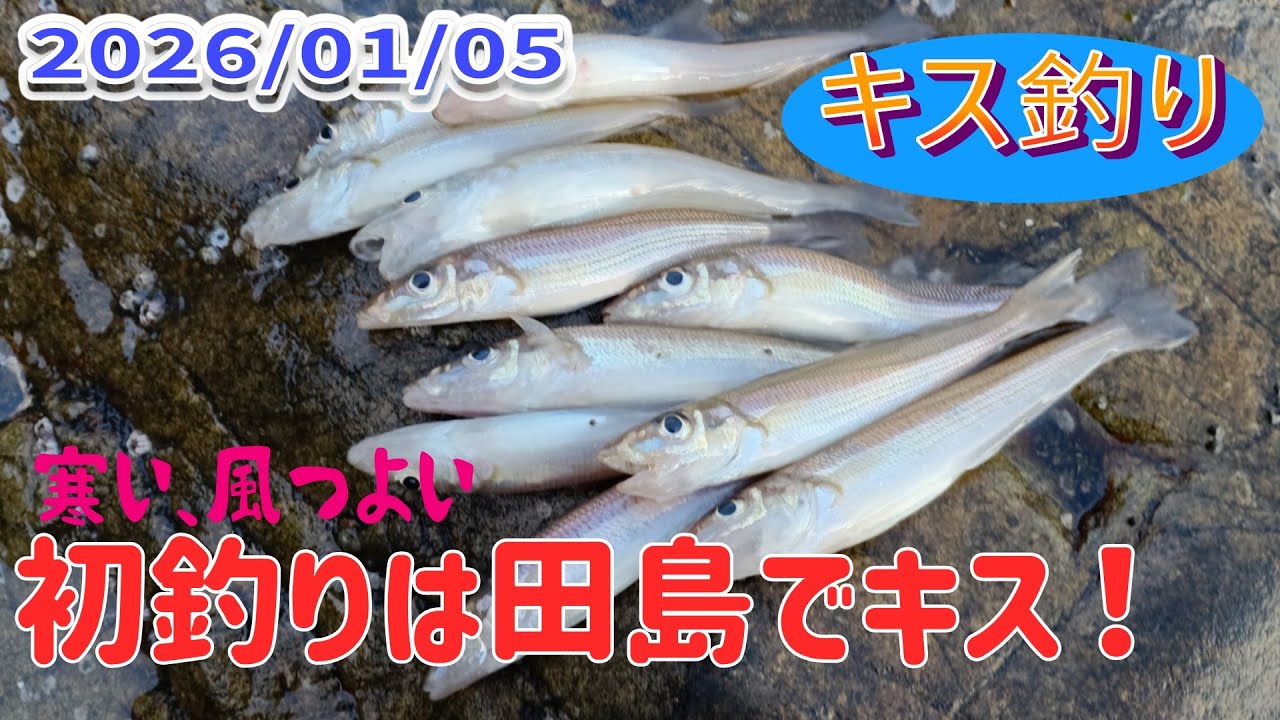 2026年の初釣りは、田島でキスを狙いました。寒い、風強い、釣れん、面白い。