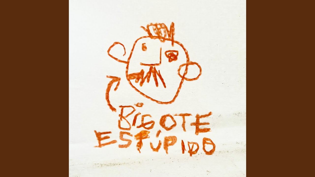 bigote est&uacute;pido