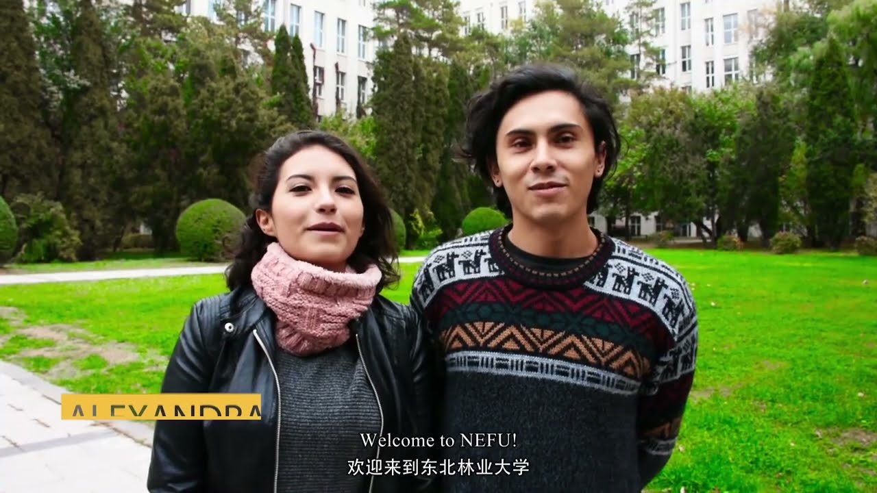 Northeast Forestry University | NEFU | Heilongjiang, Harbin | Campus View |