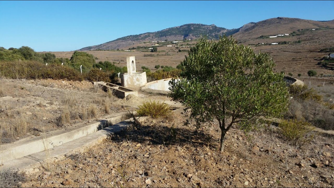 التنمية المفترى عليها ببني سيدال الجبل في عهد الرئيس الأسبق ( الثوري -)