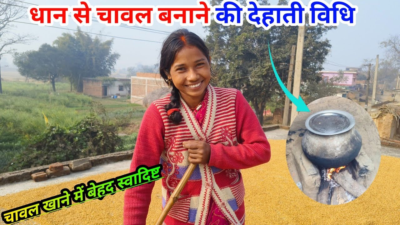 धान से चावल बनाने की देहाती विधि #gangasunitavlog #sintureenavlogs #shankarreenavlog #dhan 