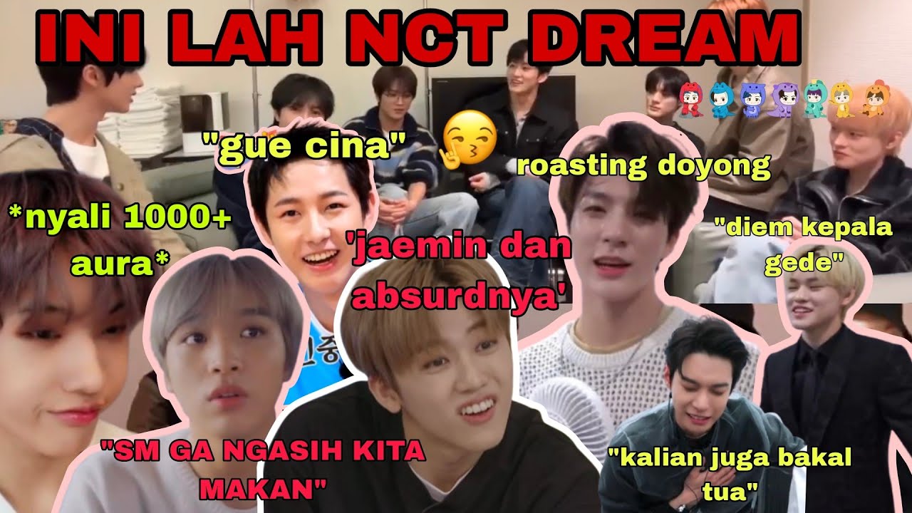 NCT DREAM MENTALITY | NCT DREAM FUNNY MOMENTS