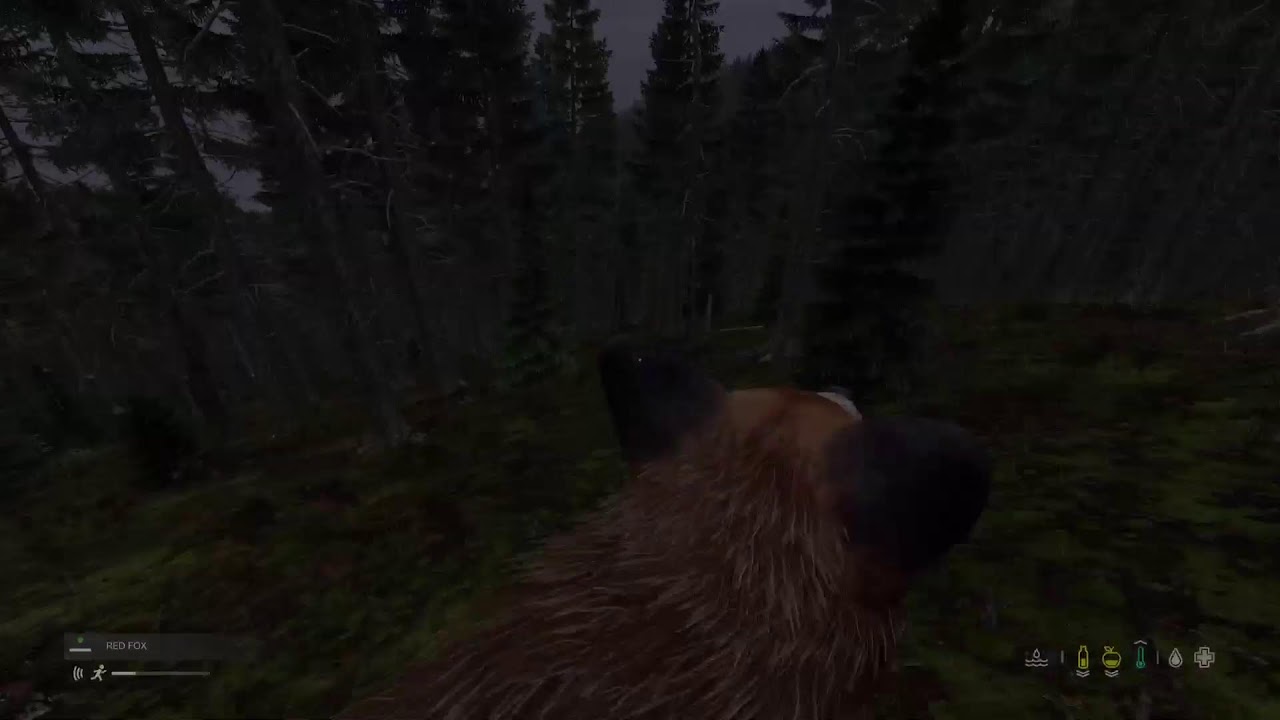 PS5 DayZ Official Servers: Tisy And The Bear