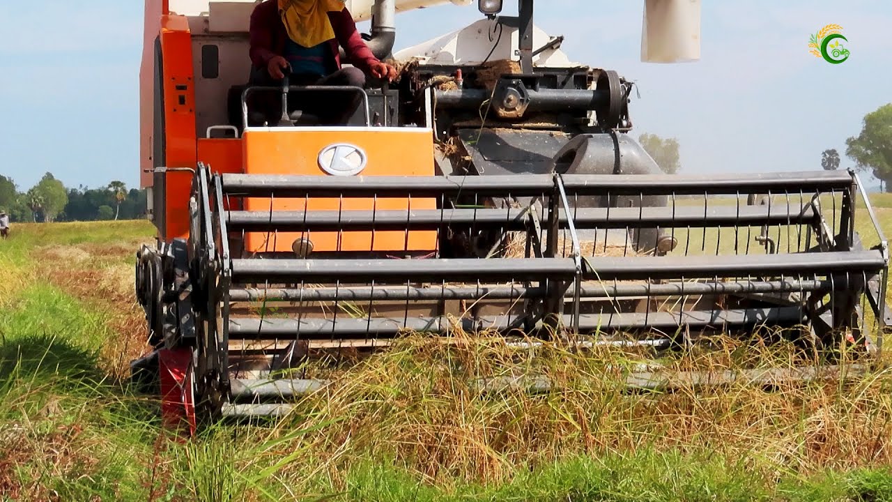 Perfect Combine Harvester Kubota DC105X Working Skills Cropping Rice At Farm`s Cambodia