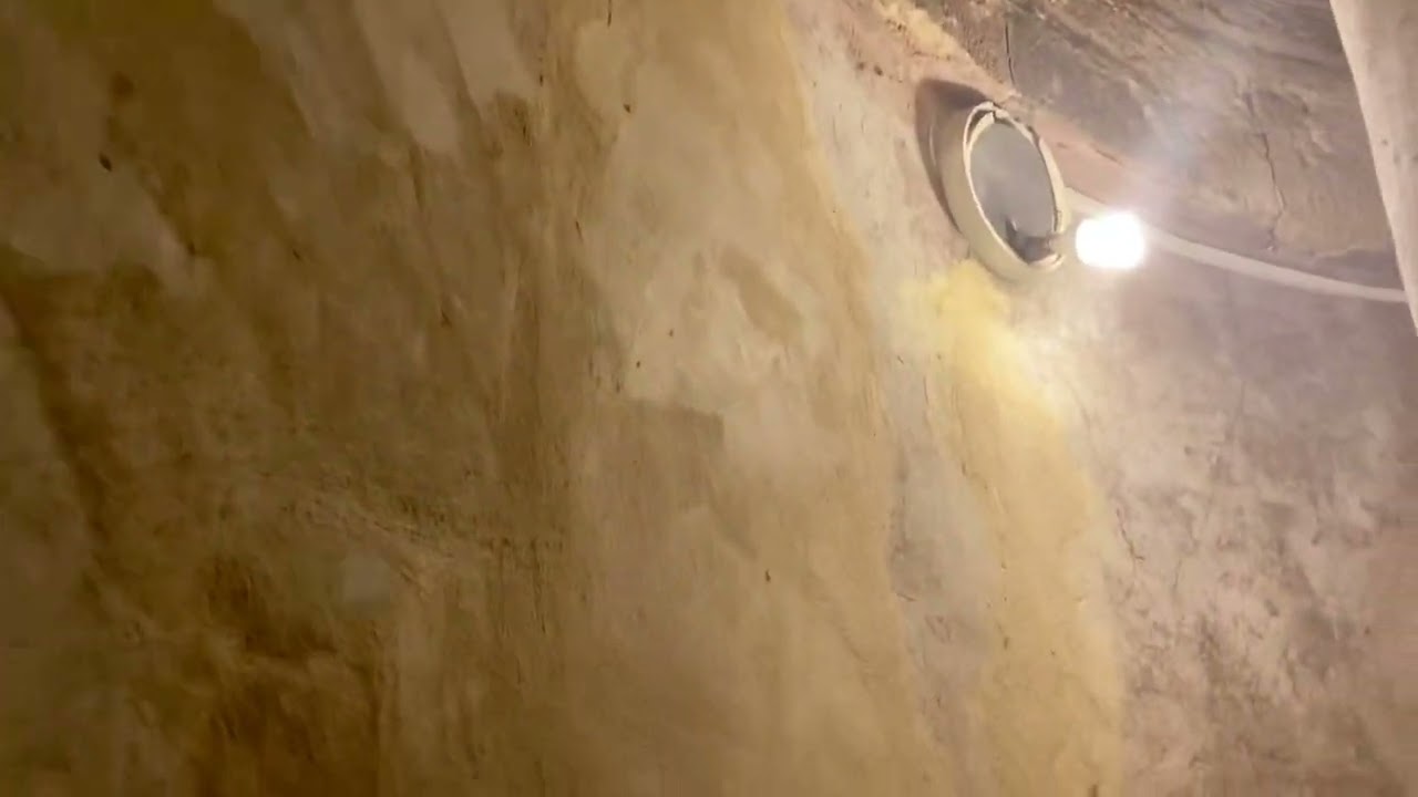 بالفيديو : اين يوجد المحراب الاصلي لجامع الزيتونة ..تصوير عبدالبصير حسن ٣-٤-٢٠٢٢