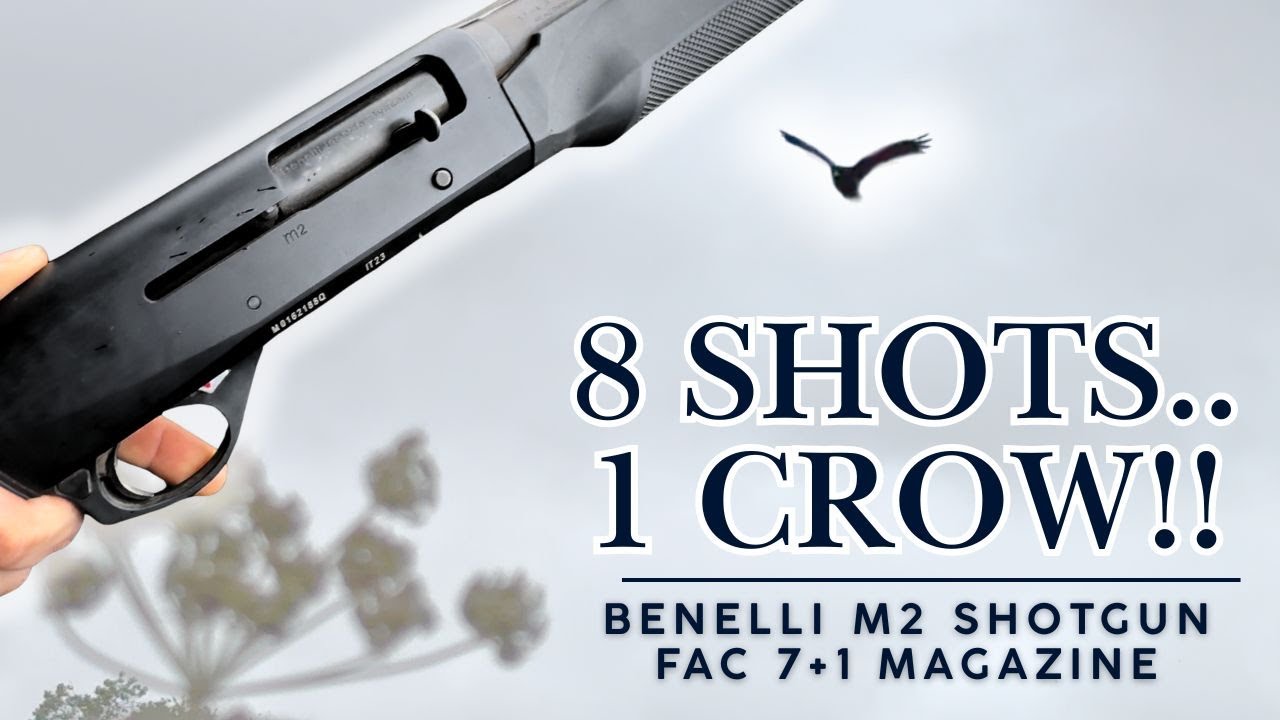 HOW MANY SHOTS!? CROW SHOOTING OVER LAYED BARLEY CROP