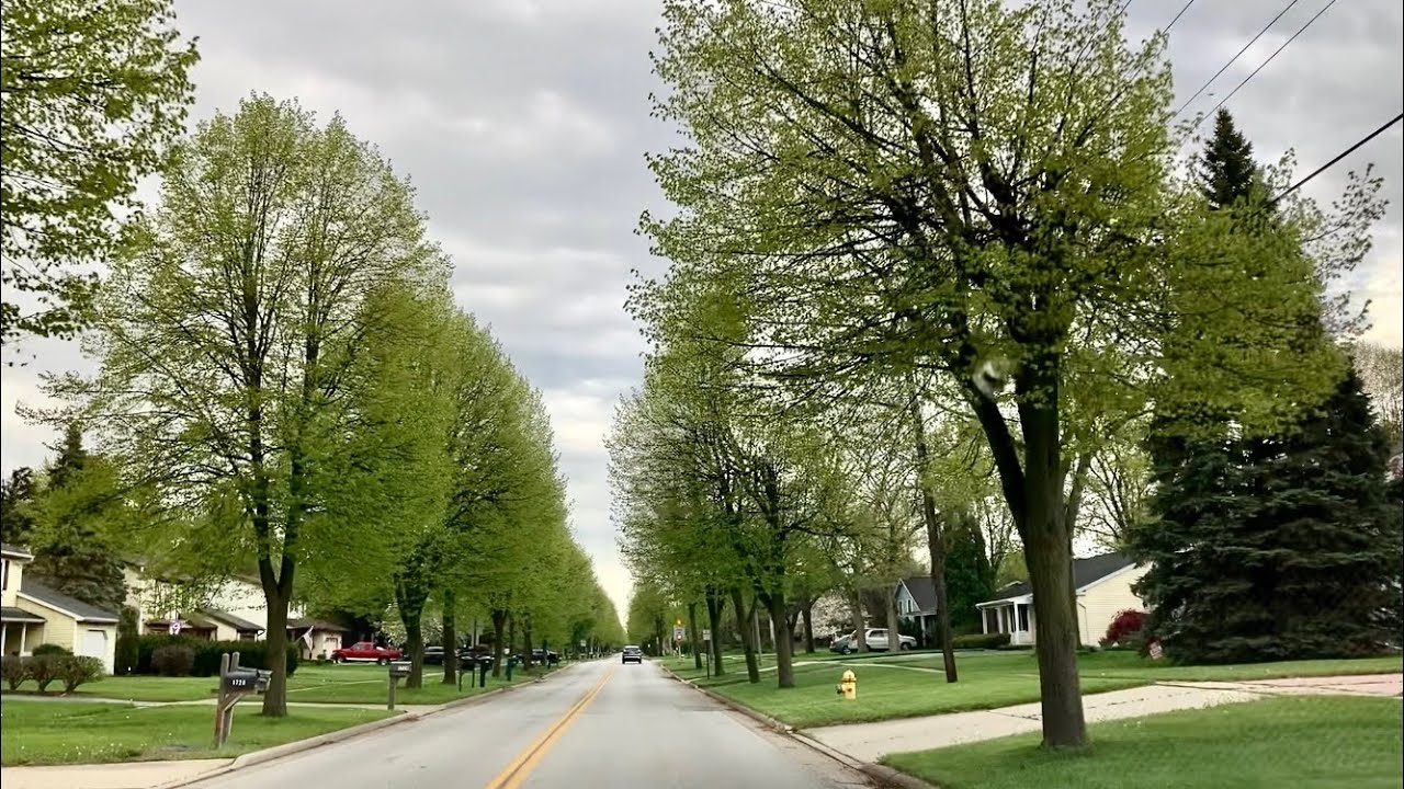 04/30/2021: Driving Cass Road, Maumee, Ohio// Spring Green Color/ Street Trees🌲: I missed Blooming?
