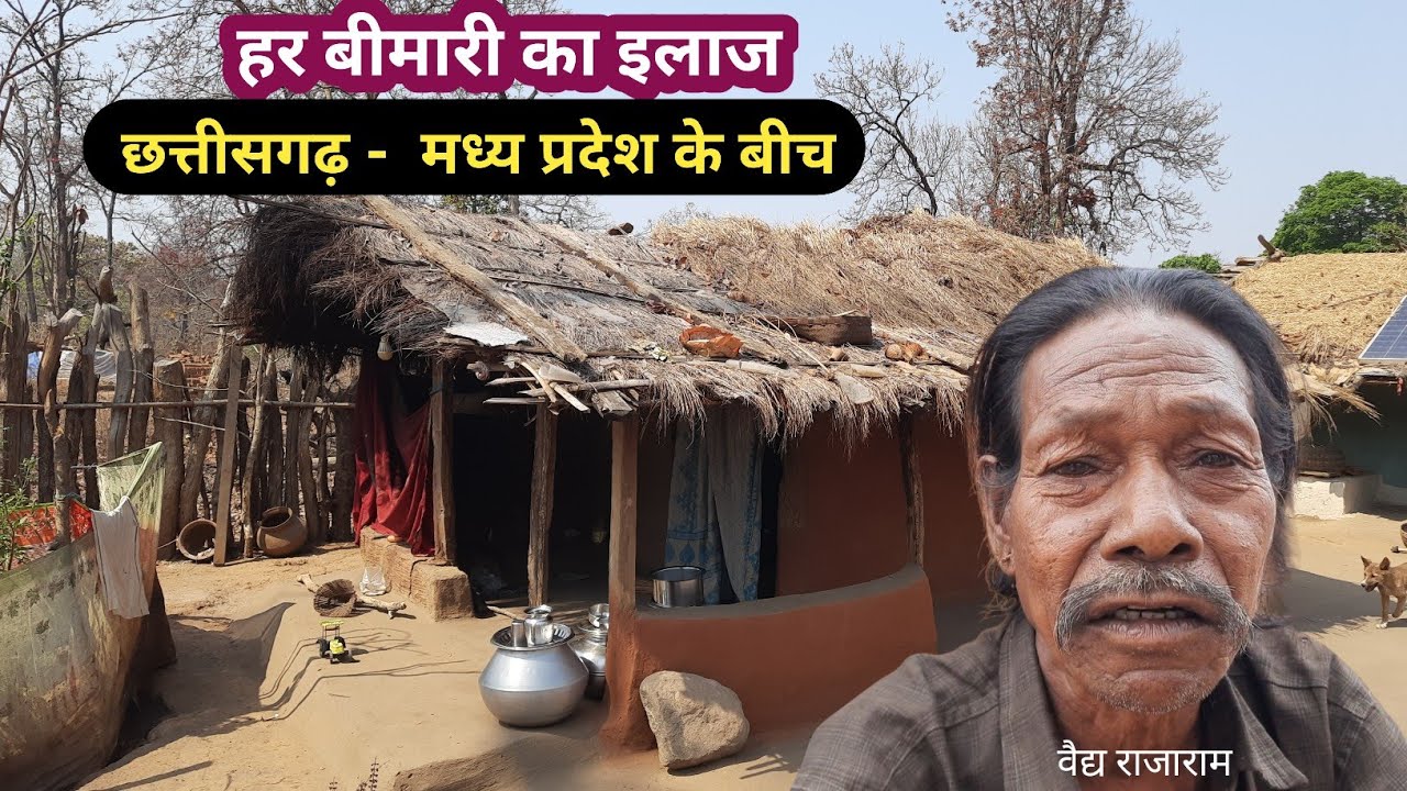 छत्तीसगढ़ मध्य प्रदेश के बीच - जंगल में रहने वाले |  वैद्य से मिलिए |