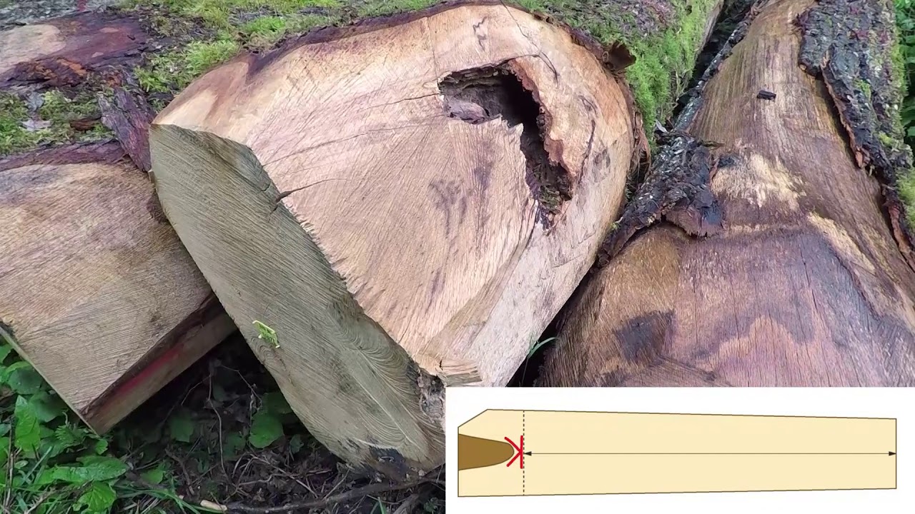 Cuber des arbres abattus R35