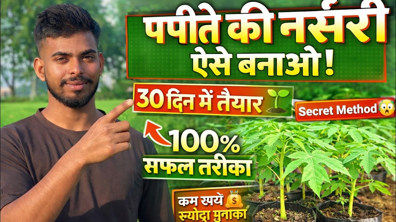 👉 “Papaya Nursery at Home 🌱 100% Success Method | Ready Plants in 30 Days!”