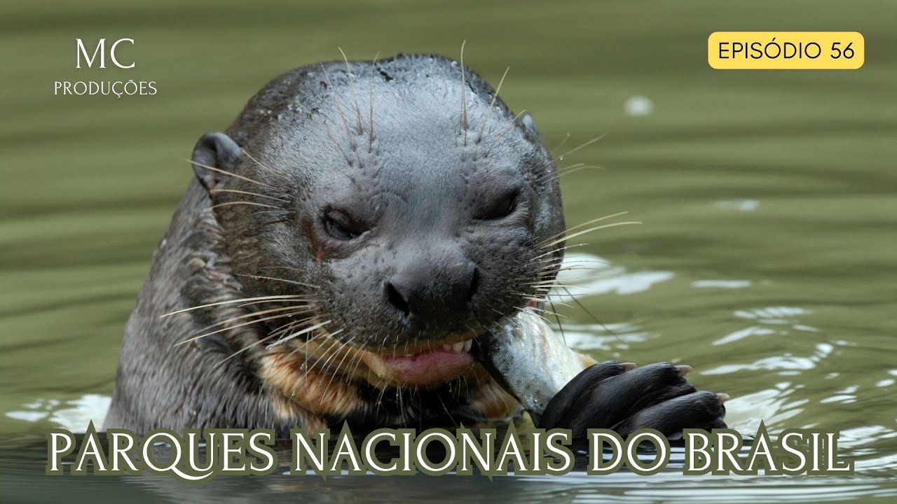 Parques Nacionais do Brasil - Maravilhas da vida selvagem