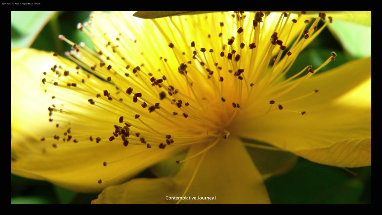 Jewish Mindfulness Meditation&mdash;Contemplative Journey to Tikkun Olam I