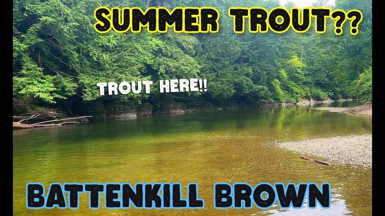 Summer Fly Fishing on the Battenkill River | Wild Brown Trout & The Tube Hatch Begins!