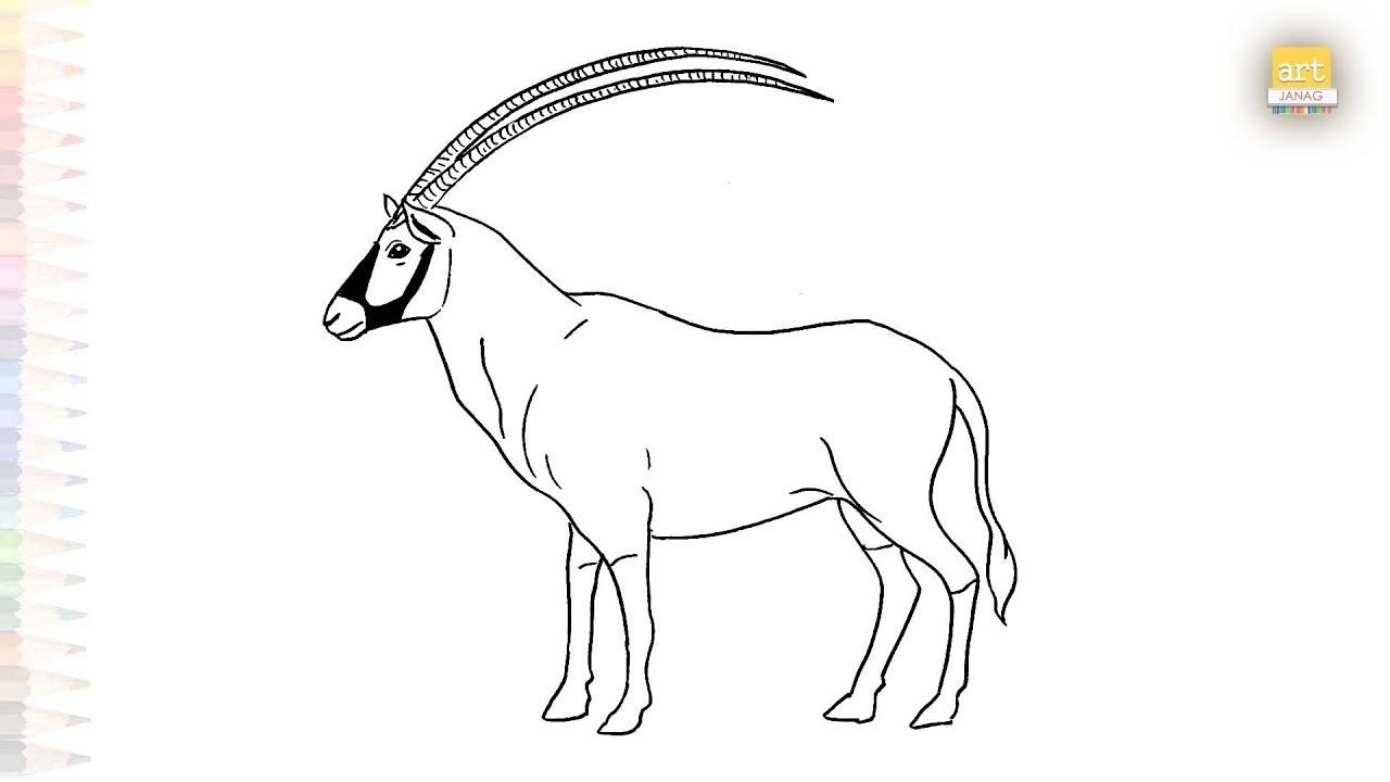 Arabian Oryx drawing easy | Art tutorial | How to draw white Oryx step by step easily  #artjanag