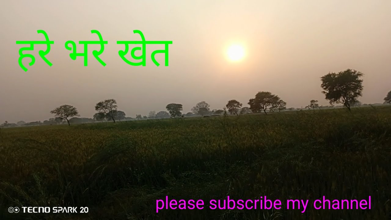 यही तो हमारी life है 