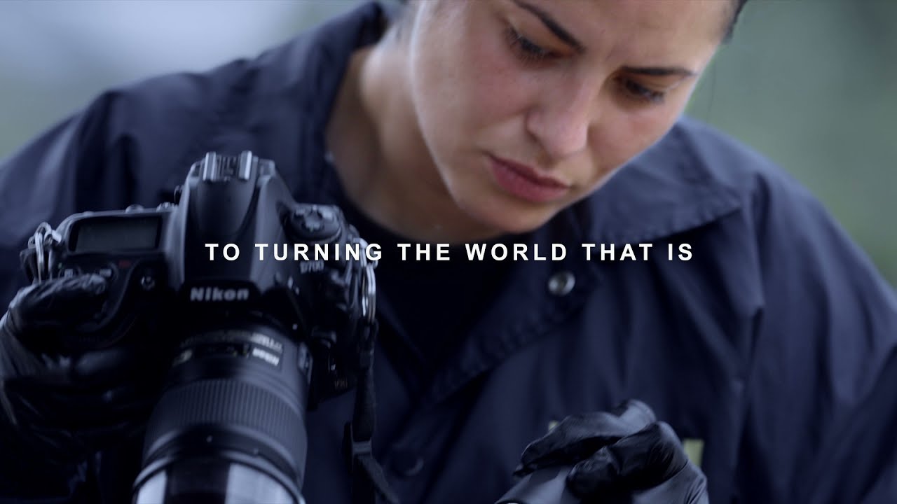 FBI Jobs – The World That Ought To Be