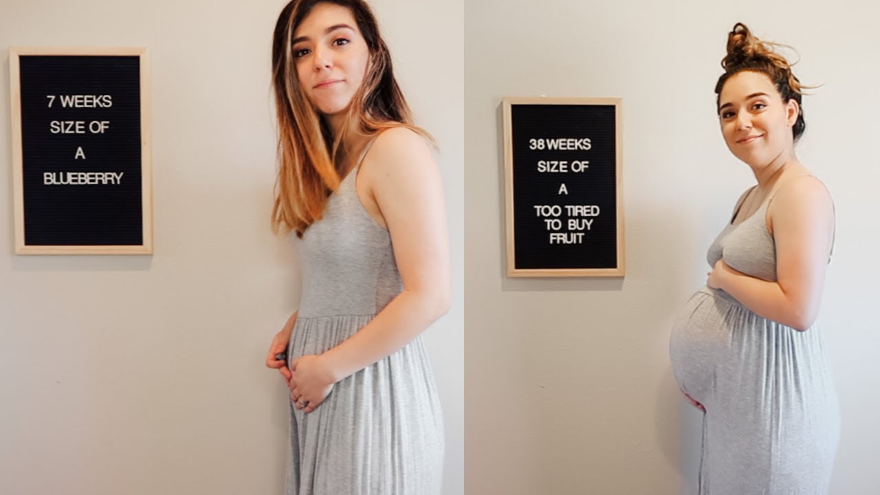 Weekly Pregnancy Transformation