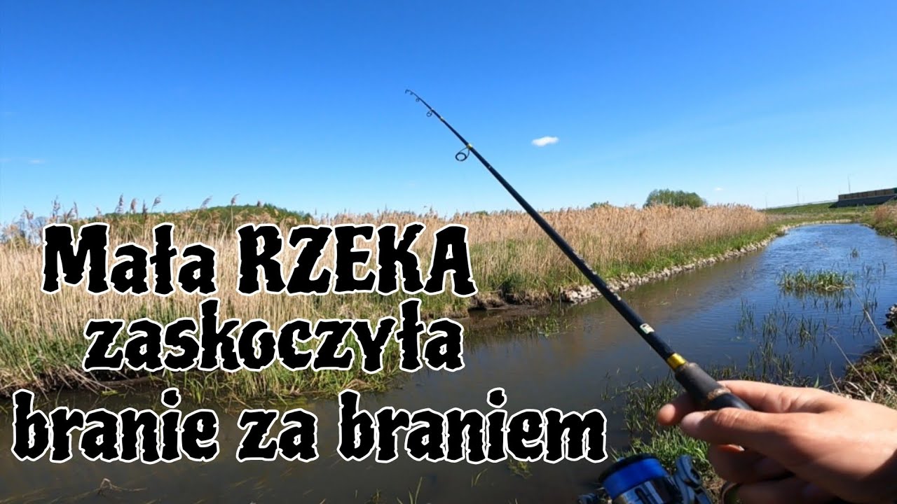 MAŁA RZEKA , Zaskoczyła Mnie ILOŚCIĄ ryb. Znalazłem skupisko ryb.