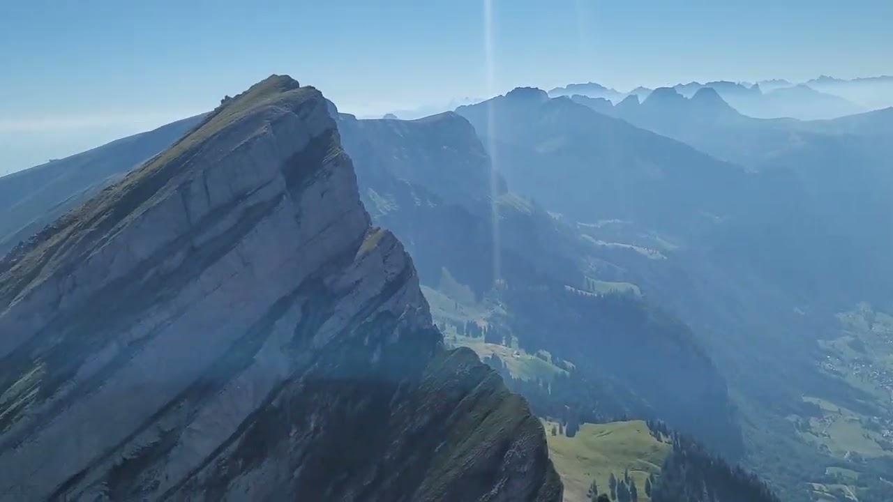Upright Frümsel. Swiss Toggenburg 17.7.2022