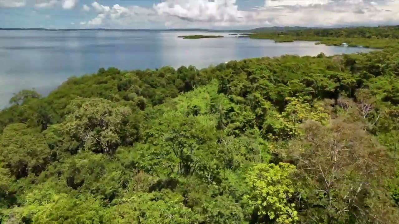 Exceptional Investment Opportunity in Bocas del Toro: Unique Property on Isla Cristobal