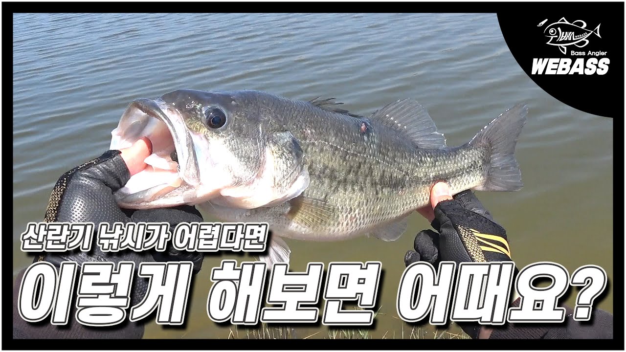 [배스낚시] 봄 시즌 산란기 배스 낚시 이렇게 해보면 어때요? Ep.192 위배스
