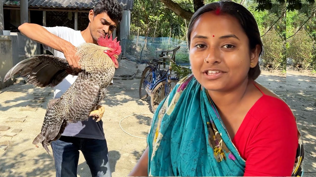  3KG ওজনের দেশি মোরগ  সাথে ফ্রাইড রাইস রান্না ও জমিয়ে খাওয়া দাওয়া 