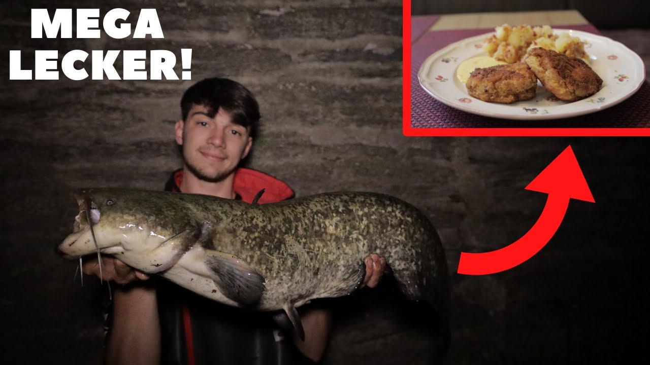 Wels super lecker zubereiten - so geht's | Catch and Cook | Mega lecker!