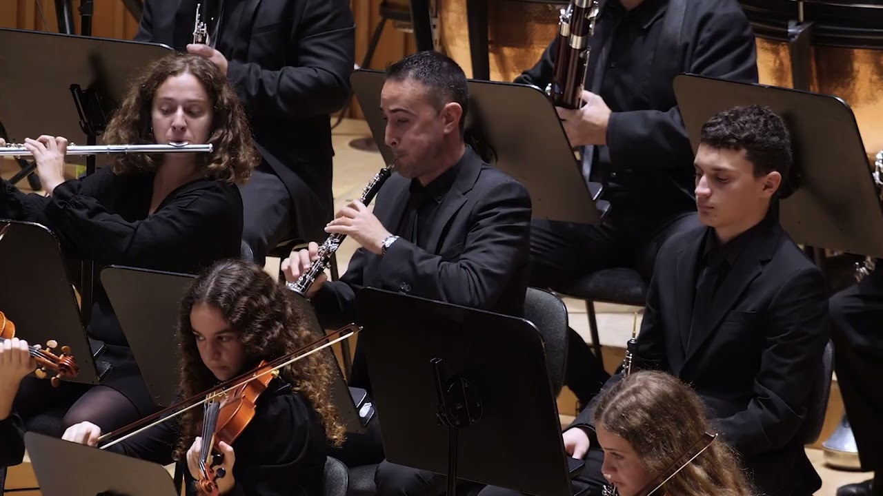 Symphony No. 7 Op. 92   II Allegretto