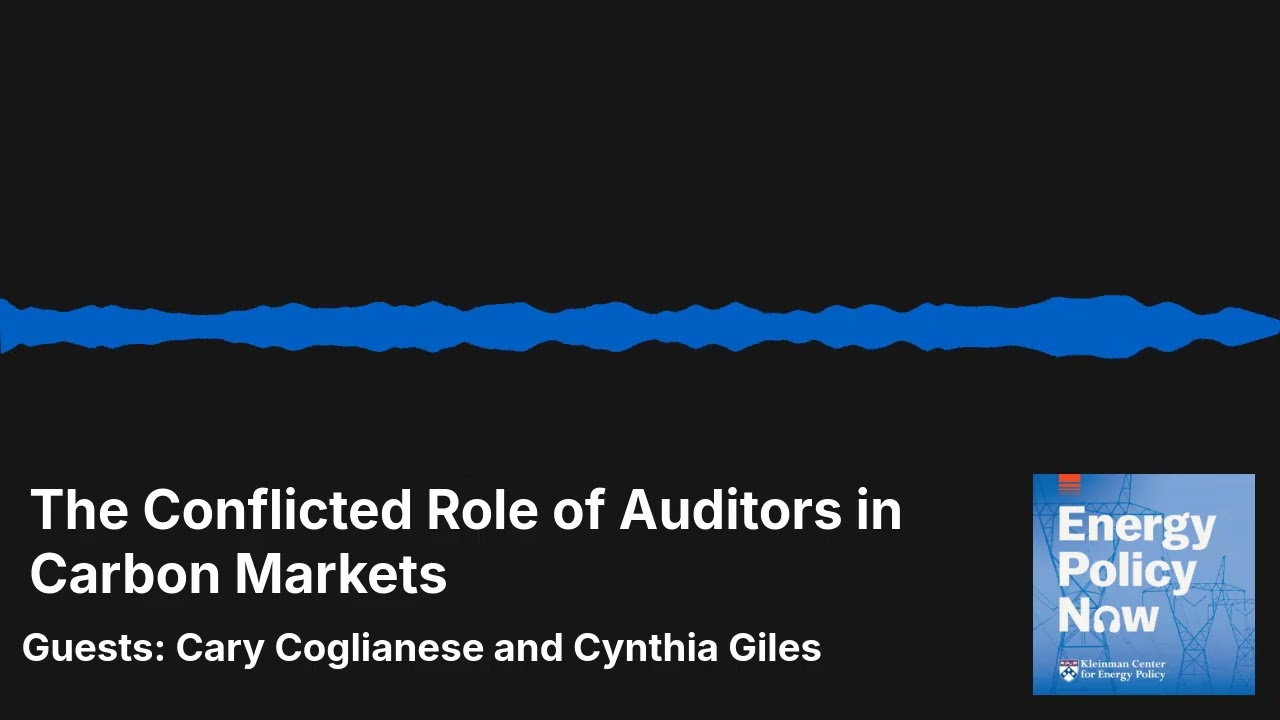 The Conflicted Role of Auditors in Carbon Markets