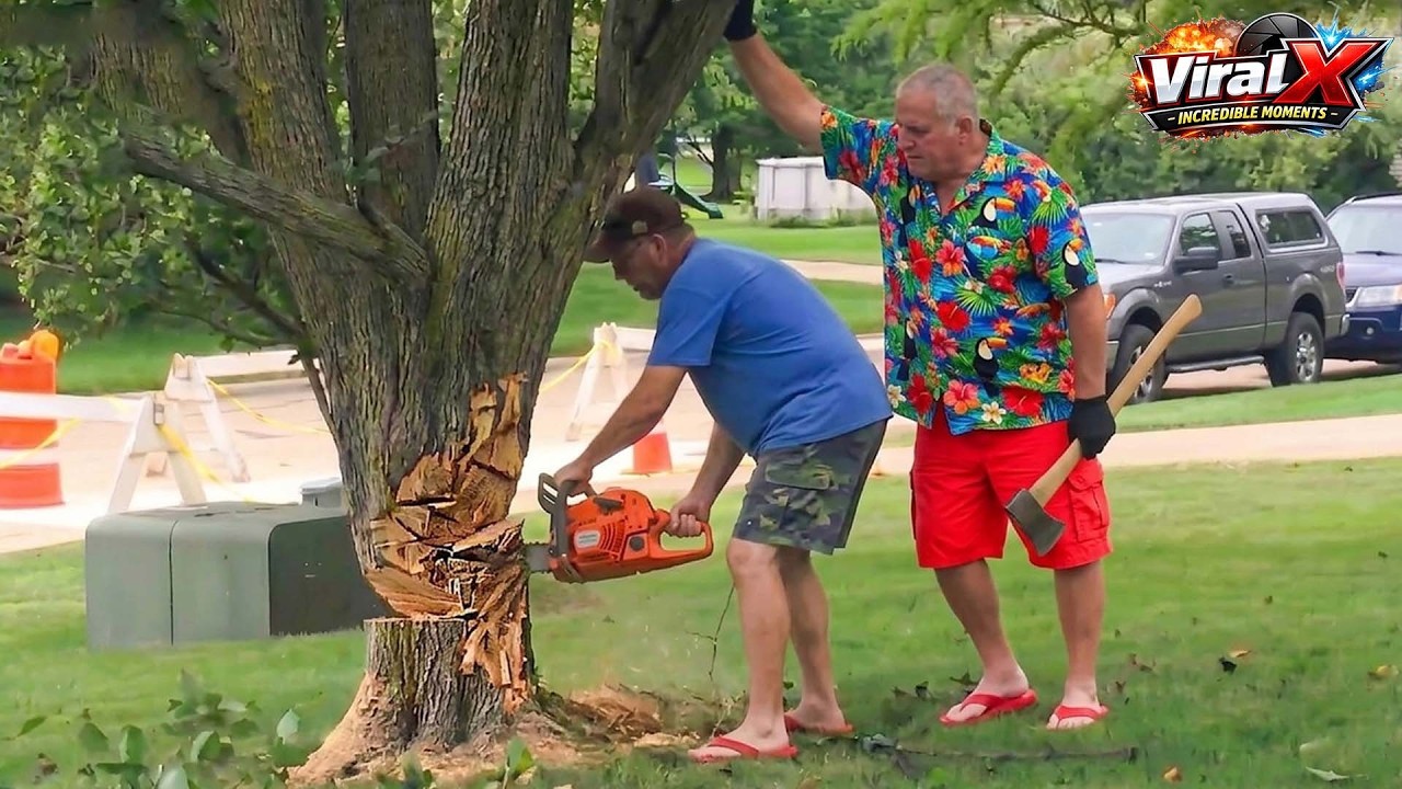 Idiots With Chainsaws: Tree Cutting Fails | 100 Most Ridiculous Worker Mistakes Caught on Camera #1