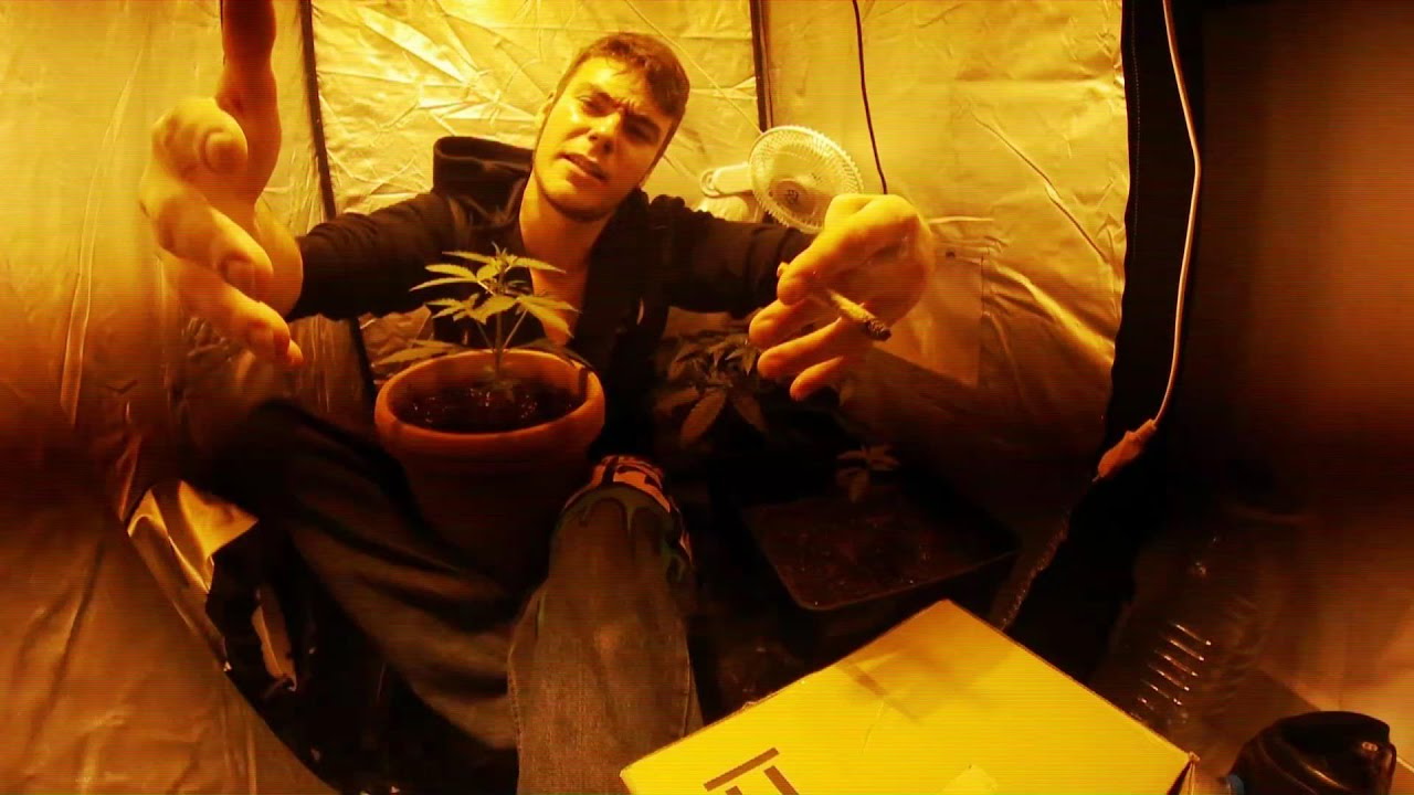 Tete Weeras - El Speaker que mejor rapea (VIDEOCLIP OFICIAL)