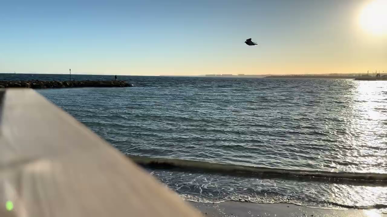 🕊️ Sunny Beach with Calming Sea Sounds