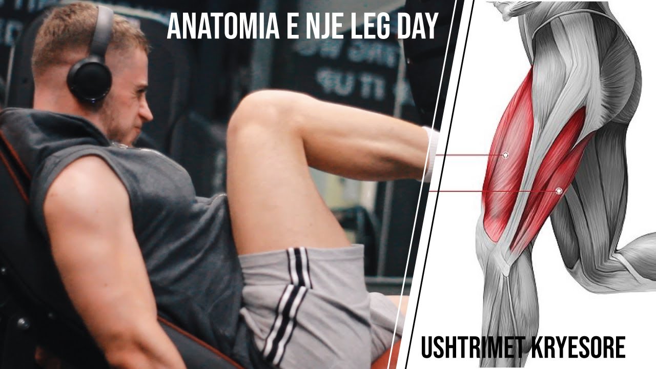 Cfarë të bësh për këmbët | LEG DAY