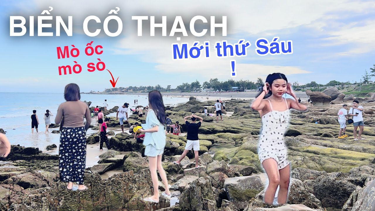 Biển Cổ Thạch Mùa Hè Quá Xá Bà Con Kéo Về Du Lịch Tắm Biển Mò Ốc Mò Sò Đi Chợ Mua Hải Đặc Sản