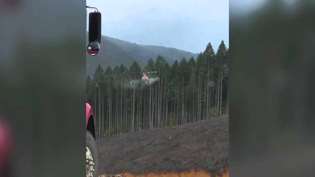 Whistleblower video captures helicopter spraying weed killers near workers: April 25, 2015