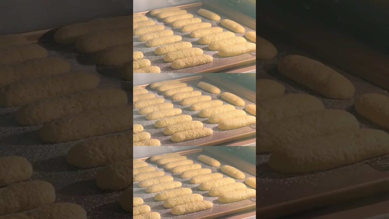 自製做提拉米蘇必備的手指餅乾Homemade Tiramisu essential finger cookies #homemade #recipe #baking #easyrecipe