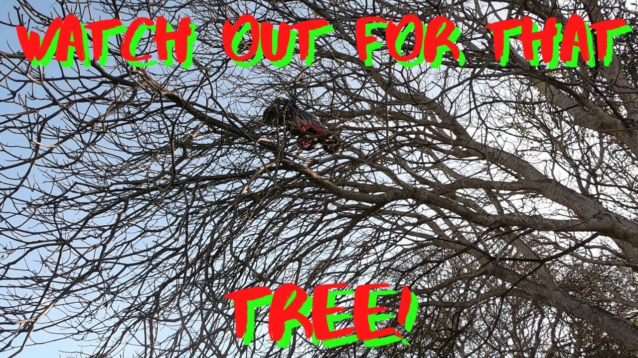 The Bay Area RC Car Basher Hit CalaBashzas for an Epic day of RC Bashing! *RC Review First Bash*