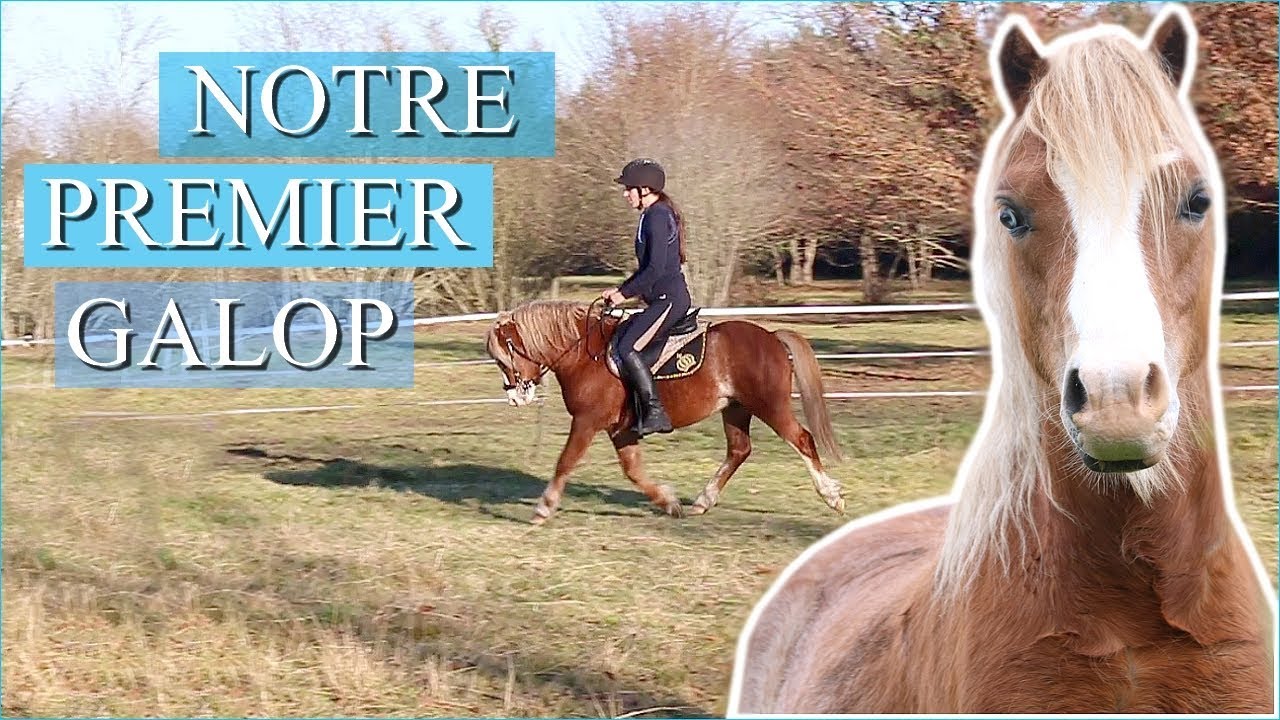NOTRE PREMIER GALOP - Débourrage