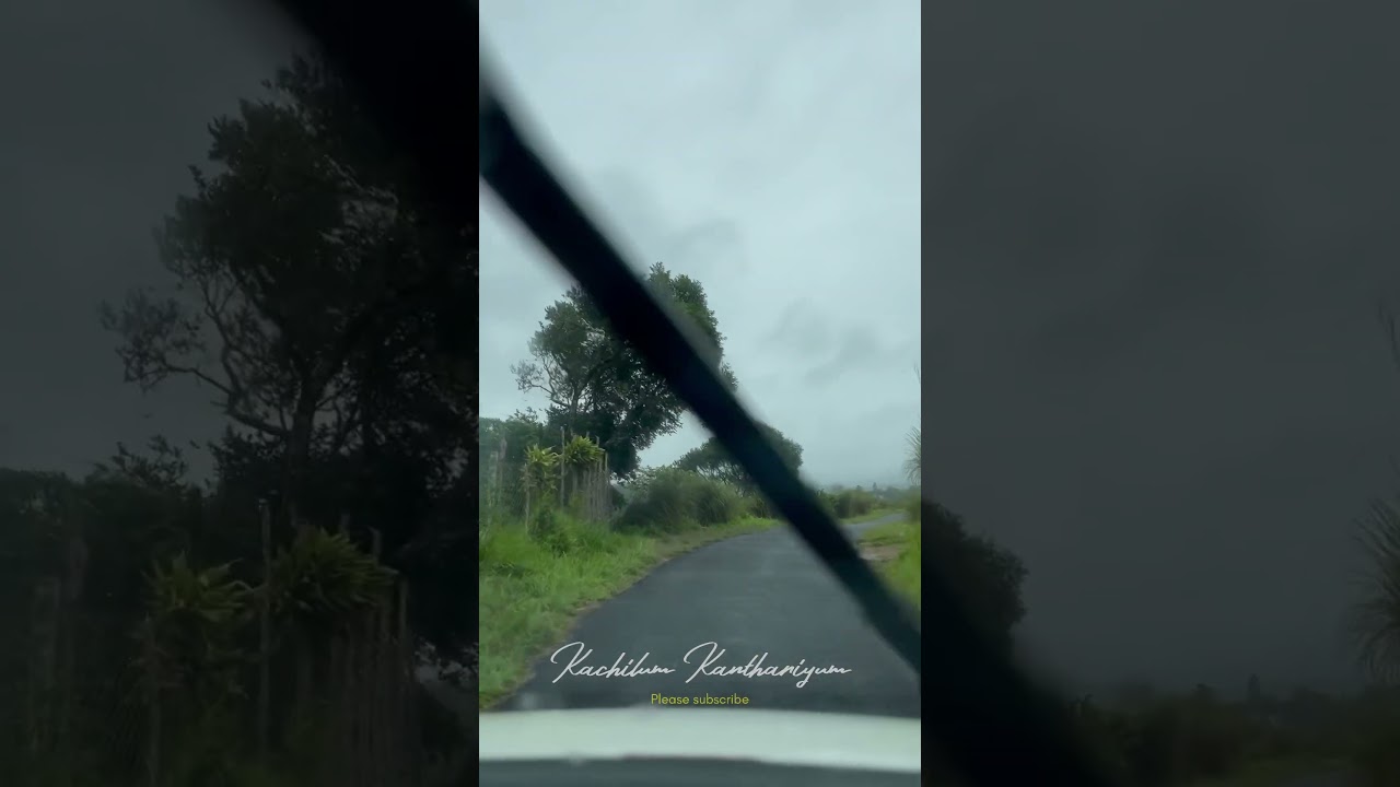 #morningvibes #rain #idukki #misty #mountains #nostalgia #trip #kerala