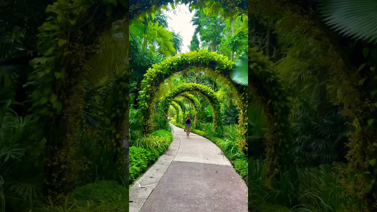 Botanical garden ||#viral #foryou #youtubeshorts #travel #explore #flowergarden @sarif_khan999